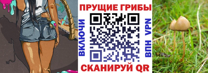 Псилоцибиновые грибы мухоморы Белозерск