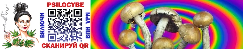 Псилоцибиновые грибы MAGIC MUSHROOMS  blacksprut как войти  сайты даркнета как зайти  Белозерск 